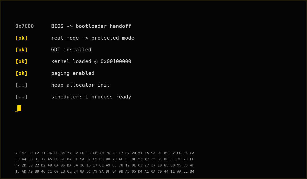 Custom Operating System